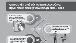 Giải quyết chế độ tai nạn lao động, bệnh nghề nghiệp giai đoạn 2016 - 2020