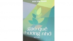 Đào Tâm Thanh, dấn thân và tự hào với "Gạo quê thương nhớ"