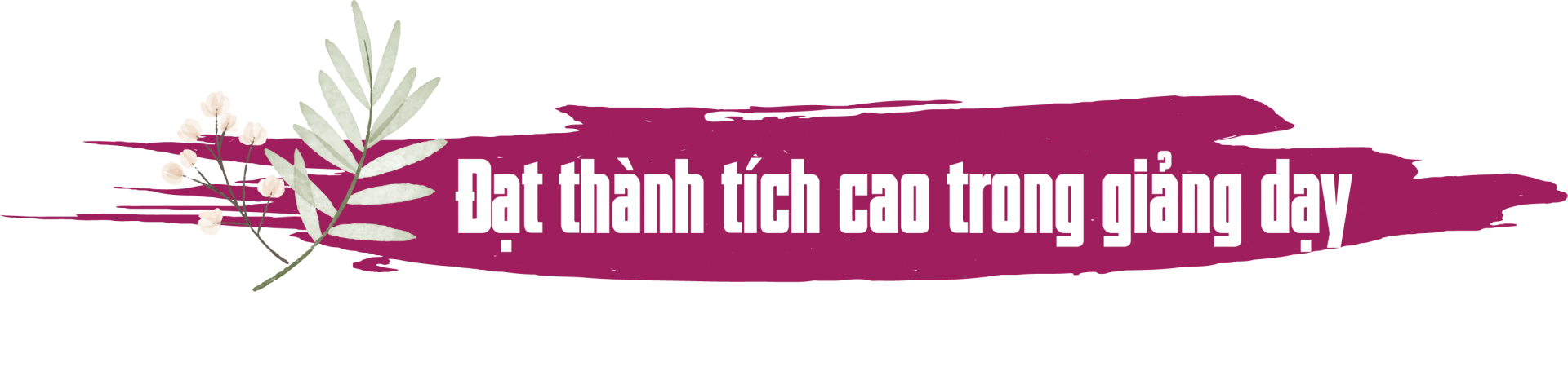 “Hoàn cảnh như miệng giếng, em không thể đi ngang mà chỉ đi lên”