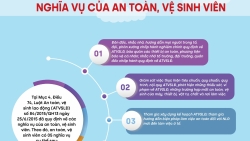 Nghĩa vụ của an toàn, vệ sinh viên