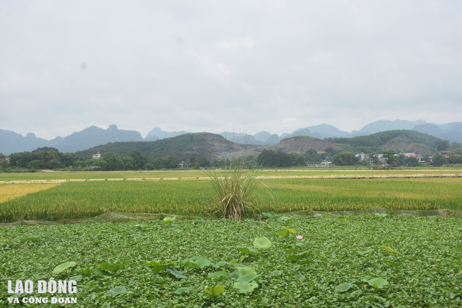 Huy động vốn ở Công ty Nhật Nam: Kỳ 3 - Sự thật về quỹ đất "giá trị lớn"