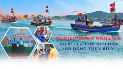 Nghiệp đoàn nghề cá: điểm tựa cho ngư dân lao động trên biển