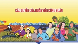 Các quyền của đoàn viên công đoàn