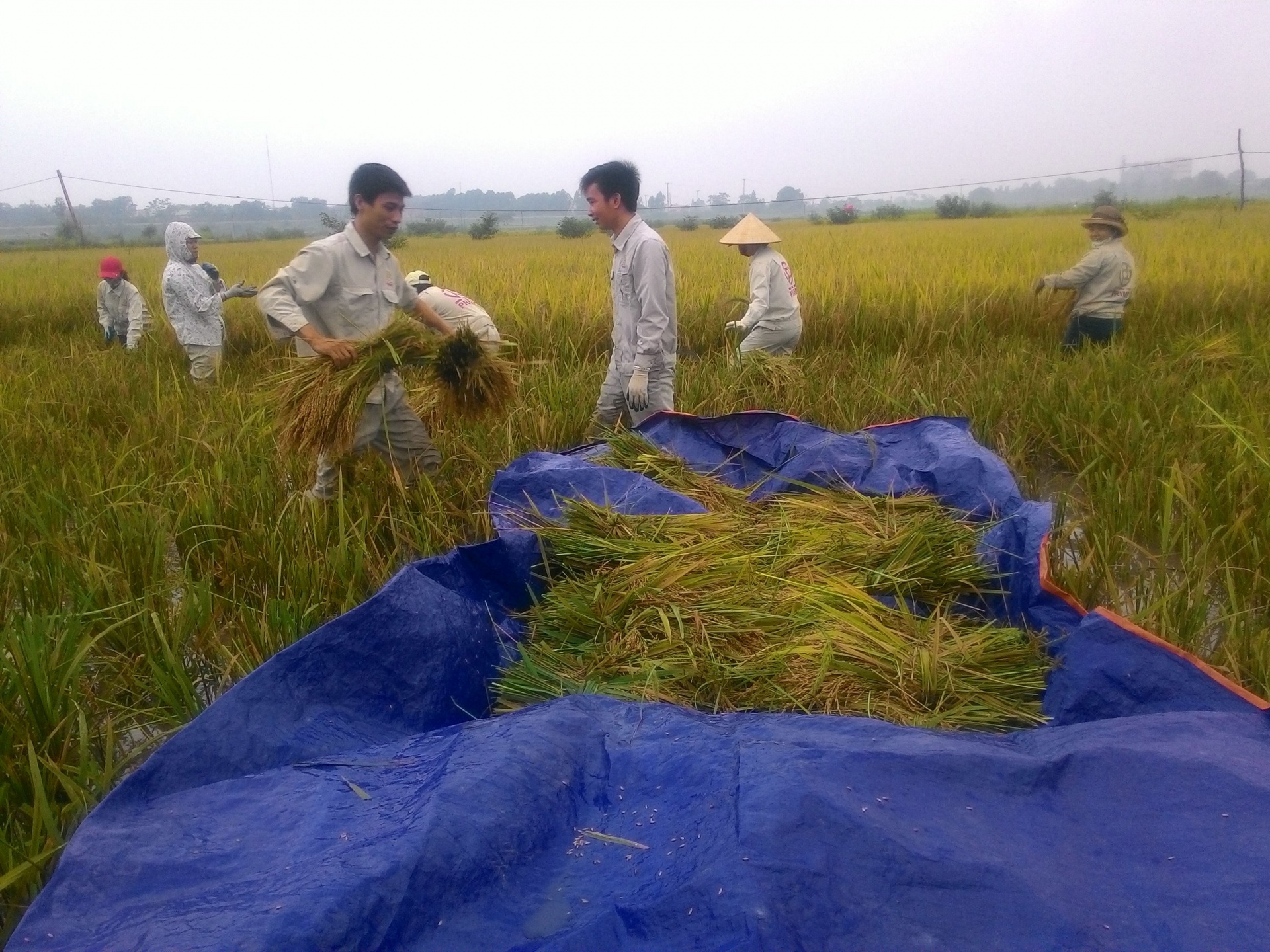 Điểm tựa cho người lao động - Bài 1: Những số phận đổi thay