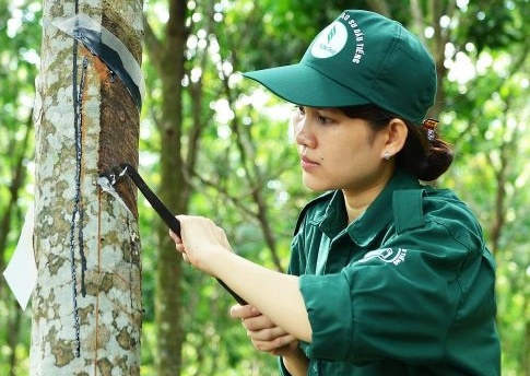 Hội thi Bàn tay vàng ngành Cao su: Chất lượng thợ giỏi ngày càng cao