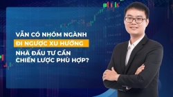 Vẫn có nhóm ngành đi ngược xu hướng thị trường chứng khoán nhà đầu tư nên hành động gì?