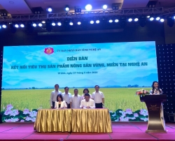 WinMart thúc đẩy phát triển chuỗi giá trị nông sản chất lượng cao tỉnh Nghệ An