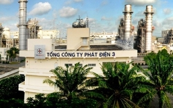 Công ty con của EVN ghi nhận doanh thu thuần đạt 15.354 tỷ đồng