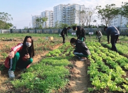 Một số điển hình tập thể, cá nhân trong học tập và làm theo Bác ở Đà Nẵng