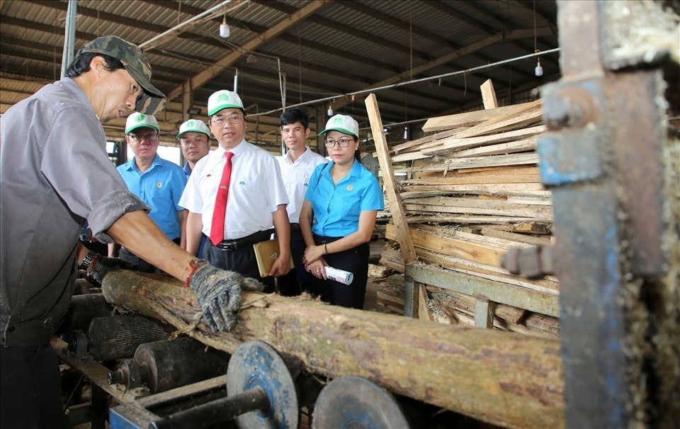 TƯLĐTT là nơi tổ chức Công đoàn thể hiện rõ vai trò đại diện cho đoàn viên, NLĐ