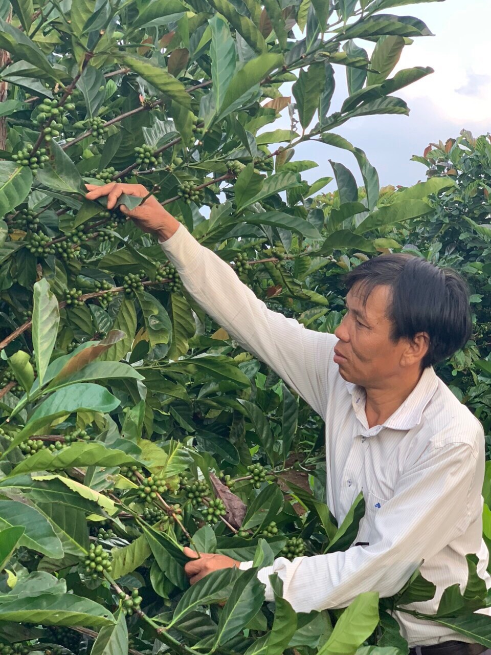 Công đoàn Việt Nam đặc biệt coi trọng công tác an toàn, vệ sinh lao động Công đoàn Việt Nam đặc biệt coi trọng công tác an toàn, vệ sinh lao động