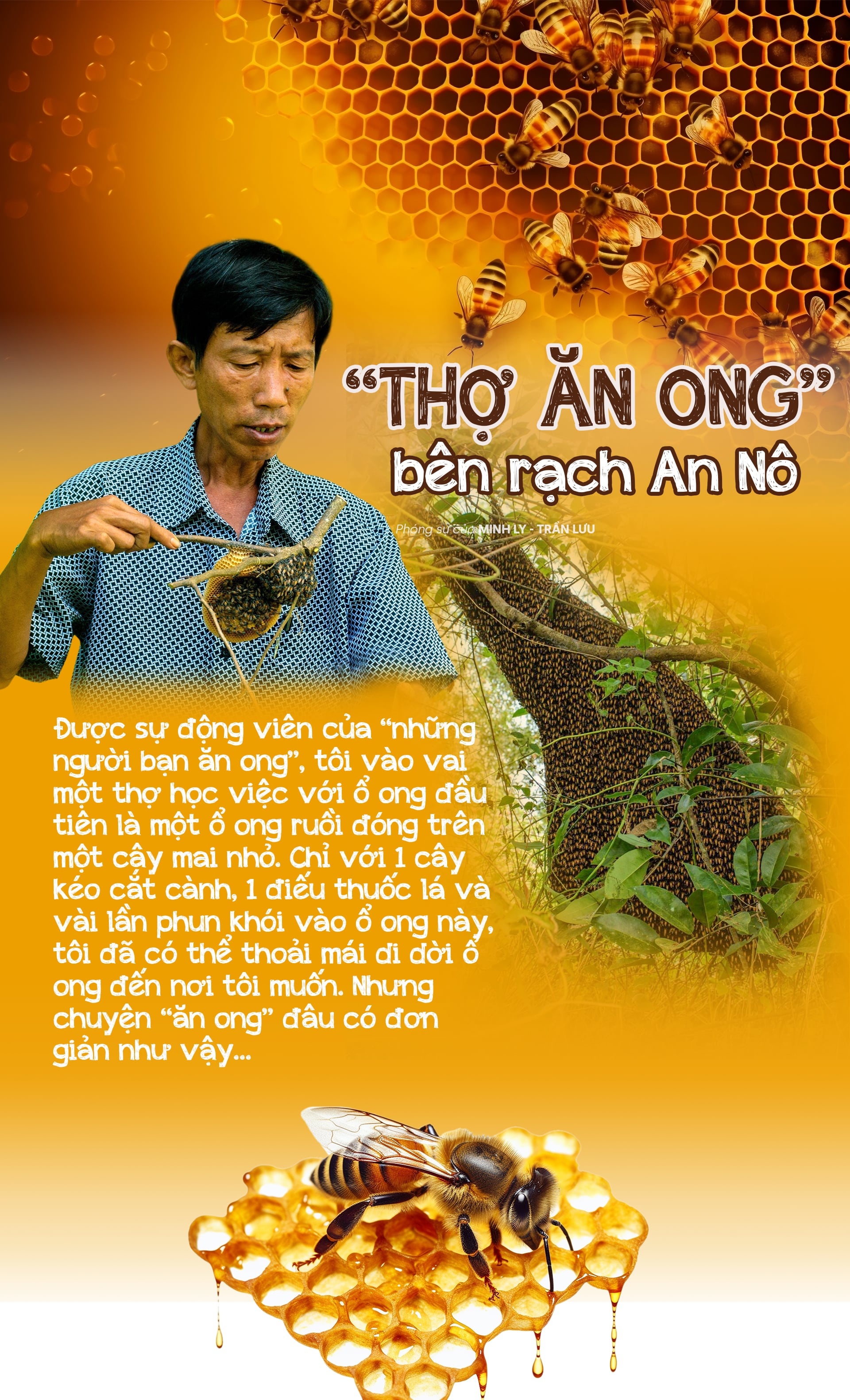 “Thợ ăn ong” bên rạch An Nô
