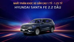 Thương hiệu Hyundai thắng lớn tại XE CỦA NĂM 2024 với 3 danh hiệu