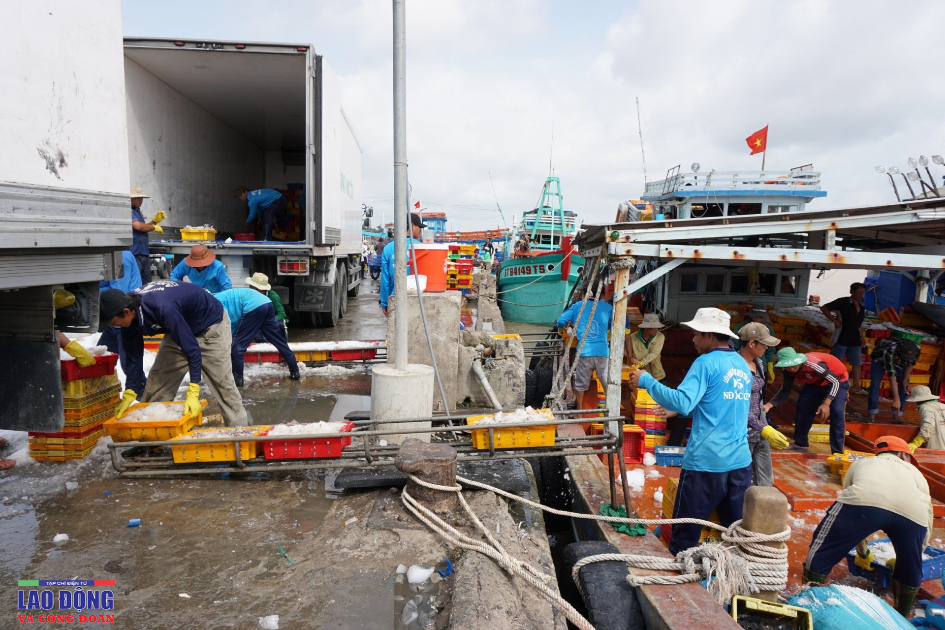 Khi nghiệp đoàn vươn ra biển lớn