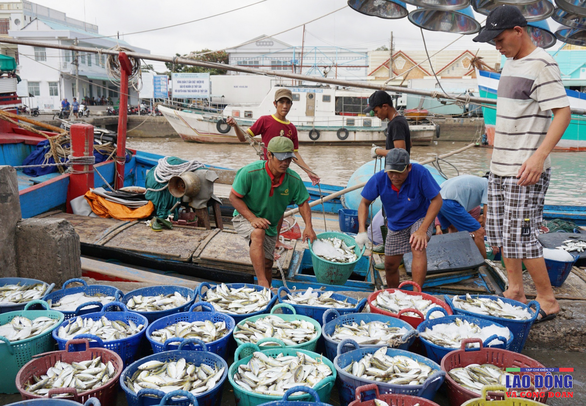 Khi nghiệp đoàn vươn ra biển lớn