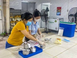 Kết quả kiểm tra ban đầu vụ 73 công nhân ngộ độc thực phẩm tại Nghệ An