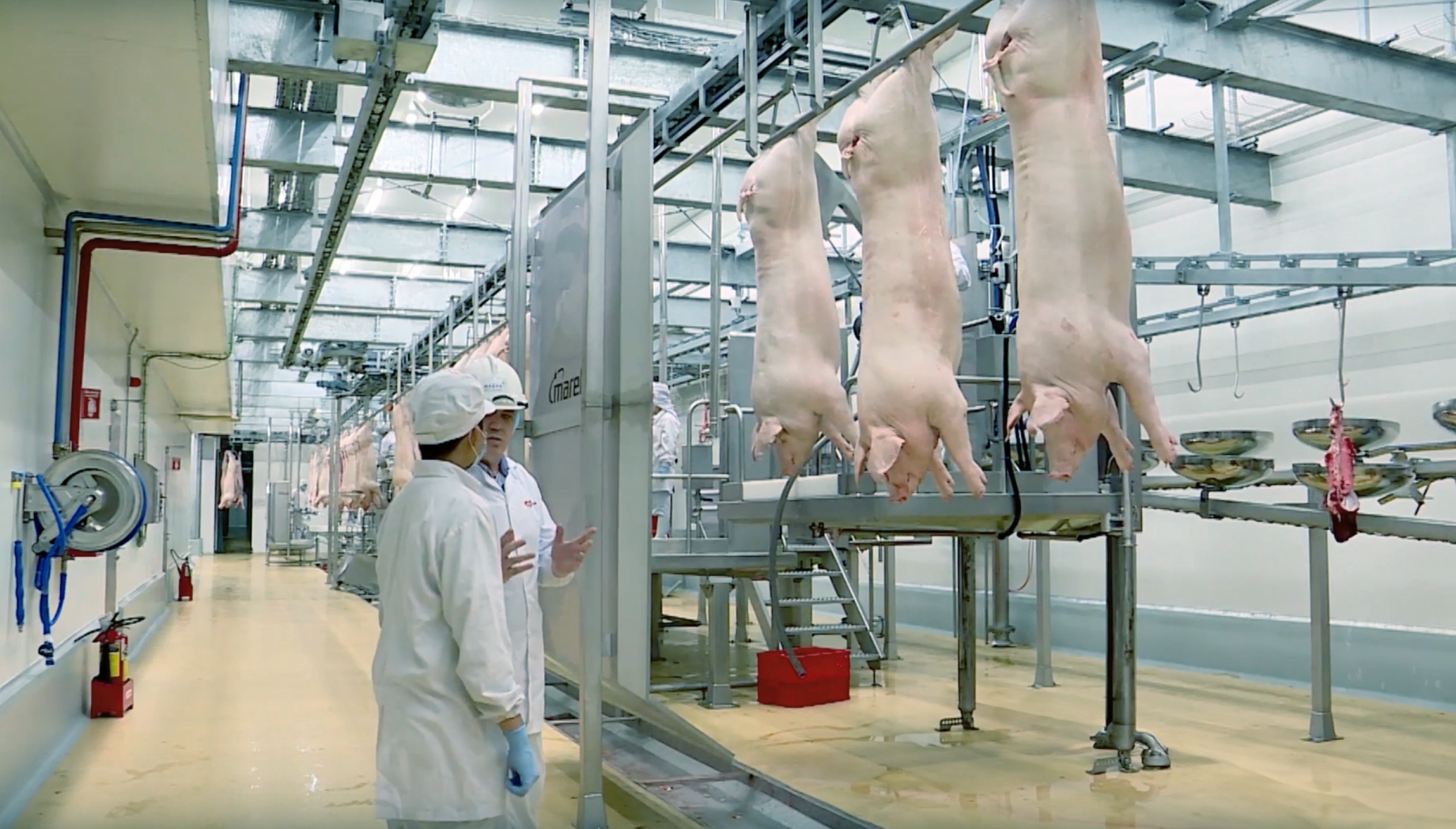 Masan MEATLife: Đảm bảo nguồn cung thịt lợn sạch, an toàn