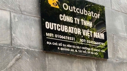 Phòng LĐ-TB&XH quận Tây Hồ làm việc với đại diện Công ty Outcubator Việt Nam