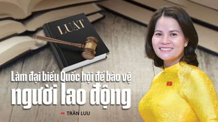 Bài 4: Làm đại biểu Quốc hội  để bảo vệ  người lao động