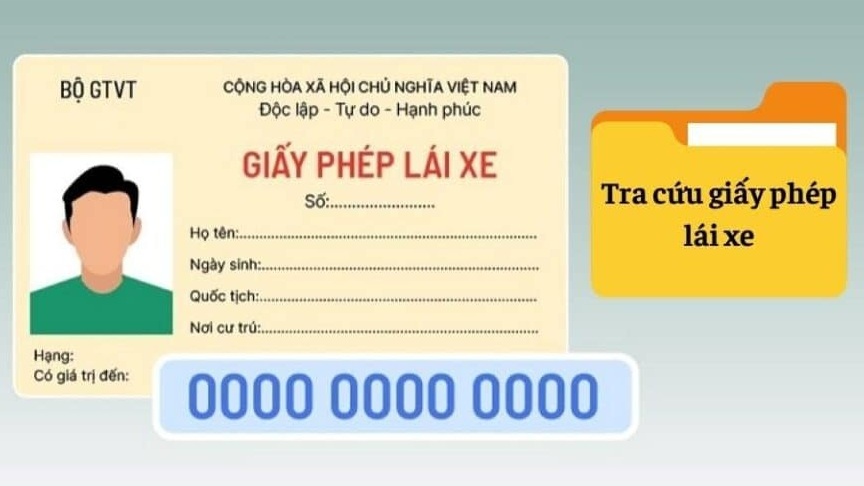 Tra cứu giấy phép lái xe bị tạm giữ như thế nào?