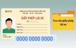 Tra cứu giấy phép lái xe bị tạm giữ như thế nào?