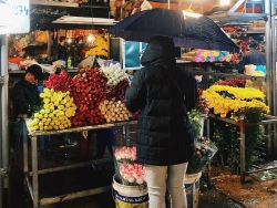Chợ hoa Quảng An mùa Covid: Tiểu thương giảm giá, đầu ra "nhỏ giọt"