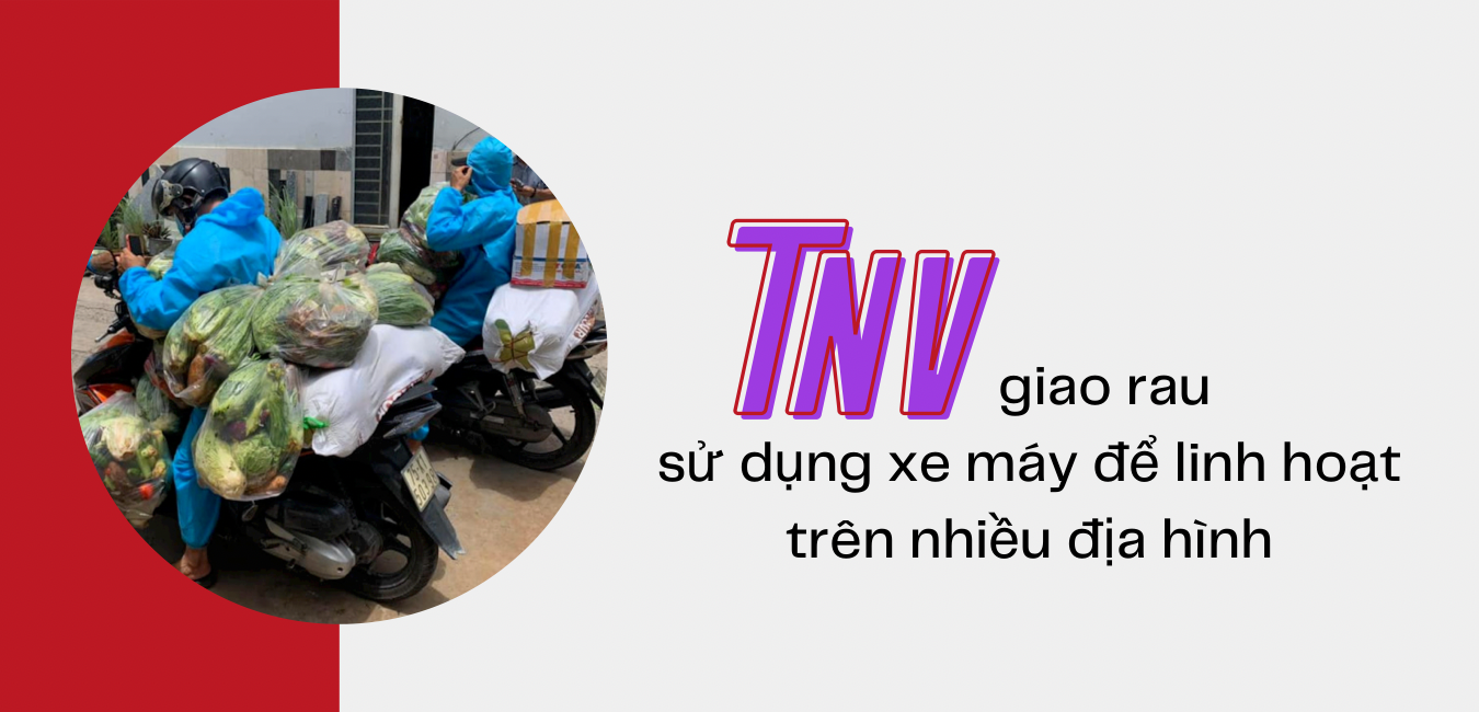 Chuyến rau vui vẻ: tô xanh điểm đỏ