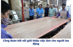 Công đoàn kết nối giới thiệu việc làm cho người lao động