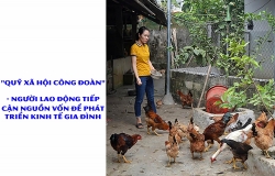 "Quỹ xã hội công đoàn" - người lao động được vay để phát triển kinh tế gia đình