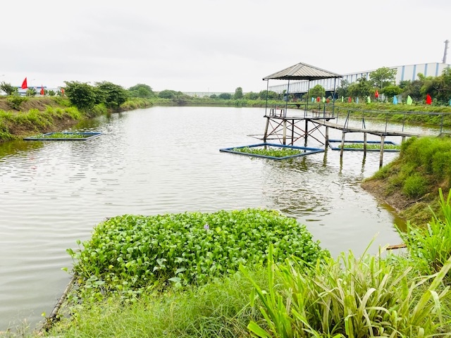 Công đoàn Công nghiệp Hóa chất Việt Nam: Gắn biển công trình "Vườn rau Công đoàn"