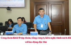 Công đoàn Khối 9 tập đoàn, tổng công ty kiến nghị chính sách đối với lao động đặc thù