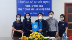 Đẩy mạnh công tác phát triển đoàn viên, thành lập CĐCS