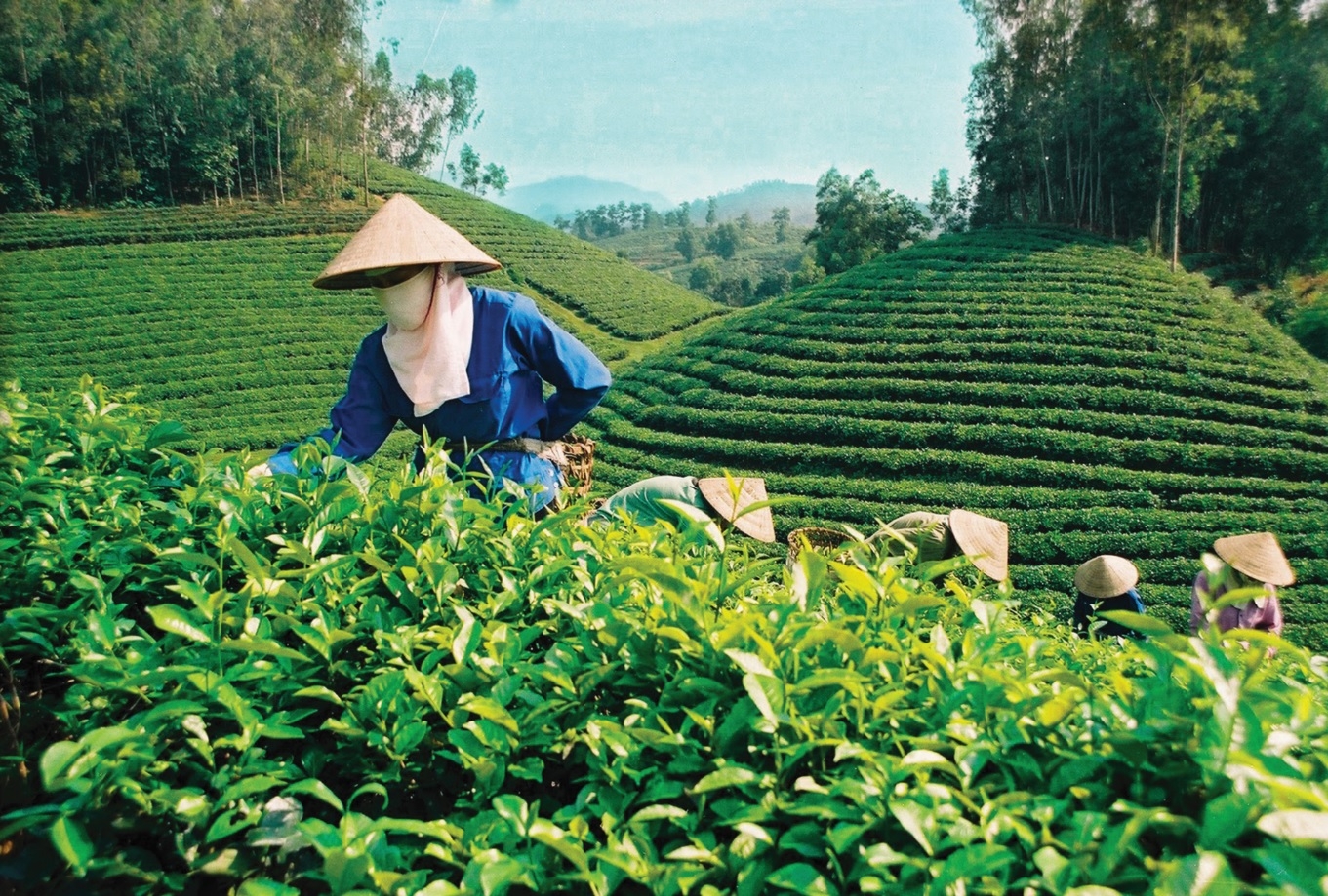 LĐLĐ tỉnh yên Bái: Khắc phục khó khăn,  duy trì việc làm cho đoàn viên, người lao động