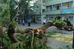 de xuat thien hoa hoc toi pham xam hai tre em nen hay khong