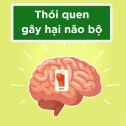 Chớ coi thường, đây là những thói quen dễ gây tổn thương não bộ