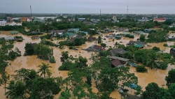 Mối liên quan giữa rừng và lũ