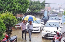 “Đi chống bão mà giống đi du lịch”