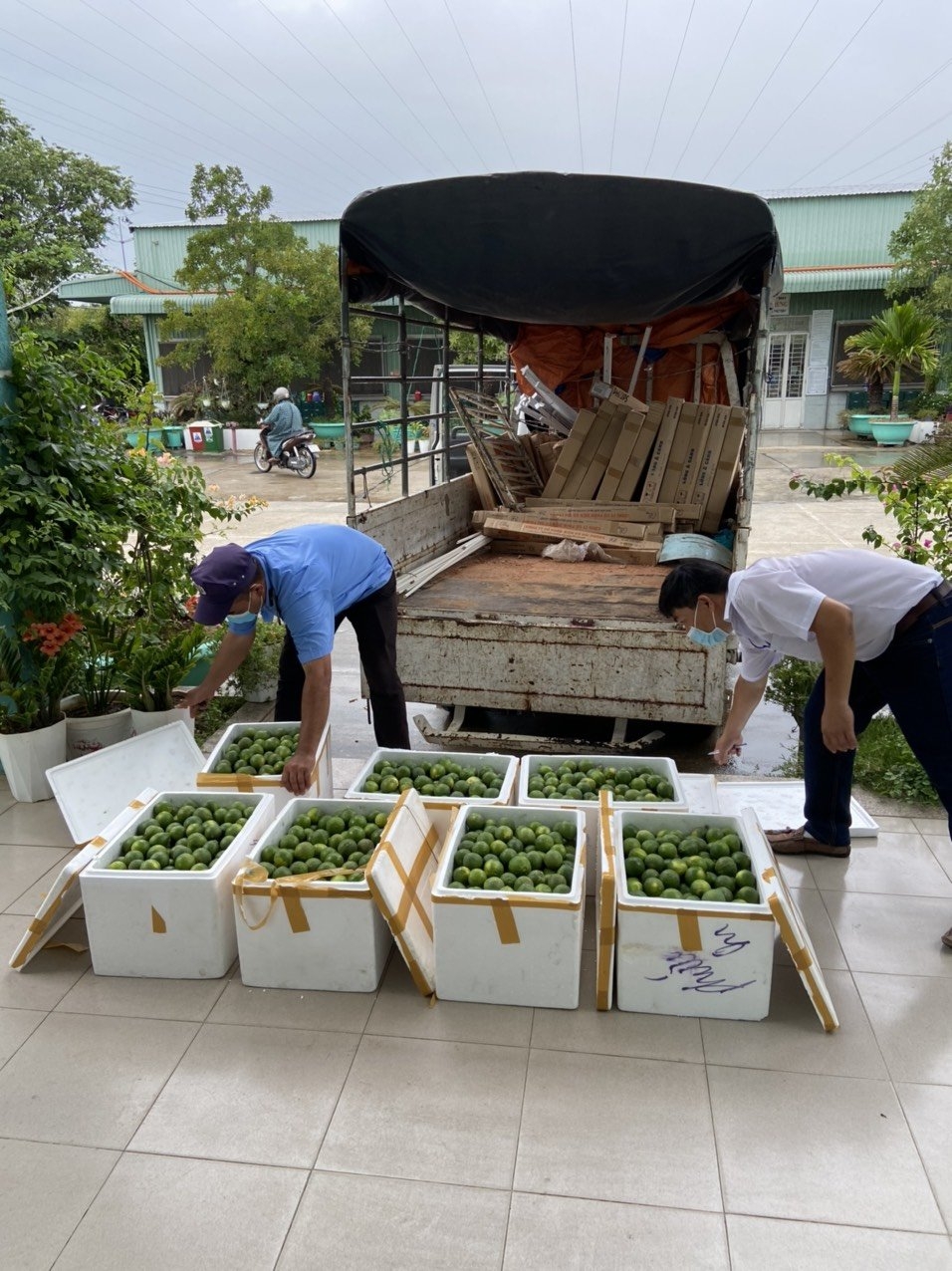 Những chuyến xe gửi gắm yêu thương đến người Đà Nẵng