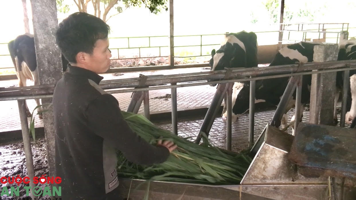 Sai phạm về BHXH ở Sơn La: Đã có kết quả thanh – kiểm tra các đơn vị