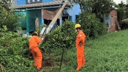 Chủ động triển khai các phương án ứng phó thiên tai