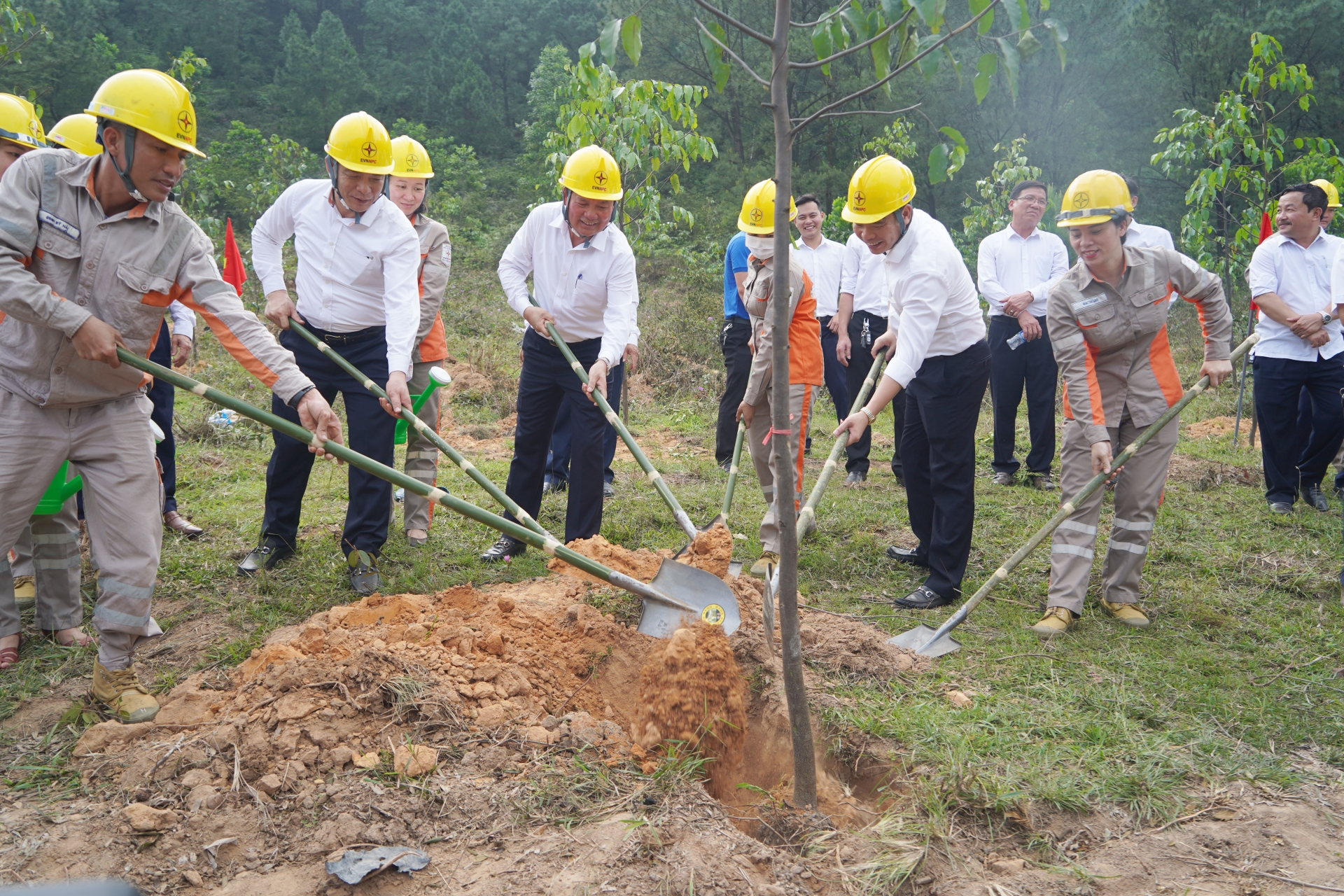 EVN NPC phát động chương trình “Vì một Việt Nam xanh” tại Hà Tĩnh, Nghệ An