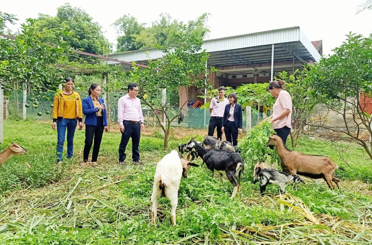 Nghệ An thực hiện hiệu quả nguồn vốn chính sách, góp phần giảm nghèo