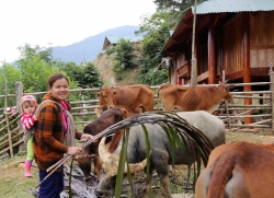 Về nơi “ba không, một có”