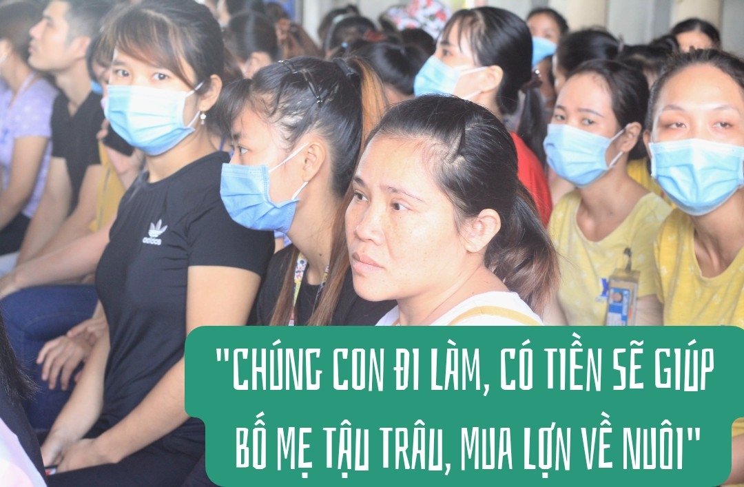 “Chúng con đi làm, có tiền sẽ giúp bố mẹ tậu trâu, mua lợn về nuôi”