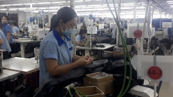 Thực trạng chất lượng cuộc sống cho nữ công nhân ngành May tại TP HCM