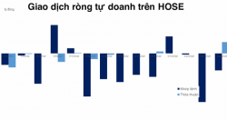 Tự doanh đang có tháng bán ròng mạnh nhất trong vòng 10 tháng trở lại đây