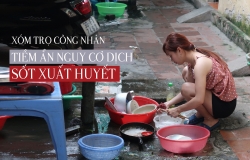 Khu trọ công nhân tiềm ẩn nguy cơ dịch sốt xuất huyết