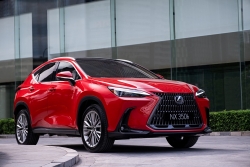 Lexus NX 2022 giá từ 3 tỷ đồng tại Việt Nam