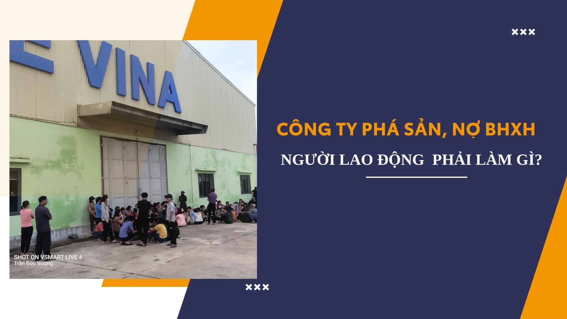 Công ty phá sản, nợ bảo hiểm xã hội, người lao động phải làm gì?