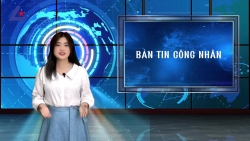 Bản tin công nhân: Lao động nữ di cư phải sống xa con